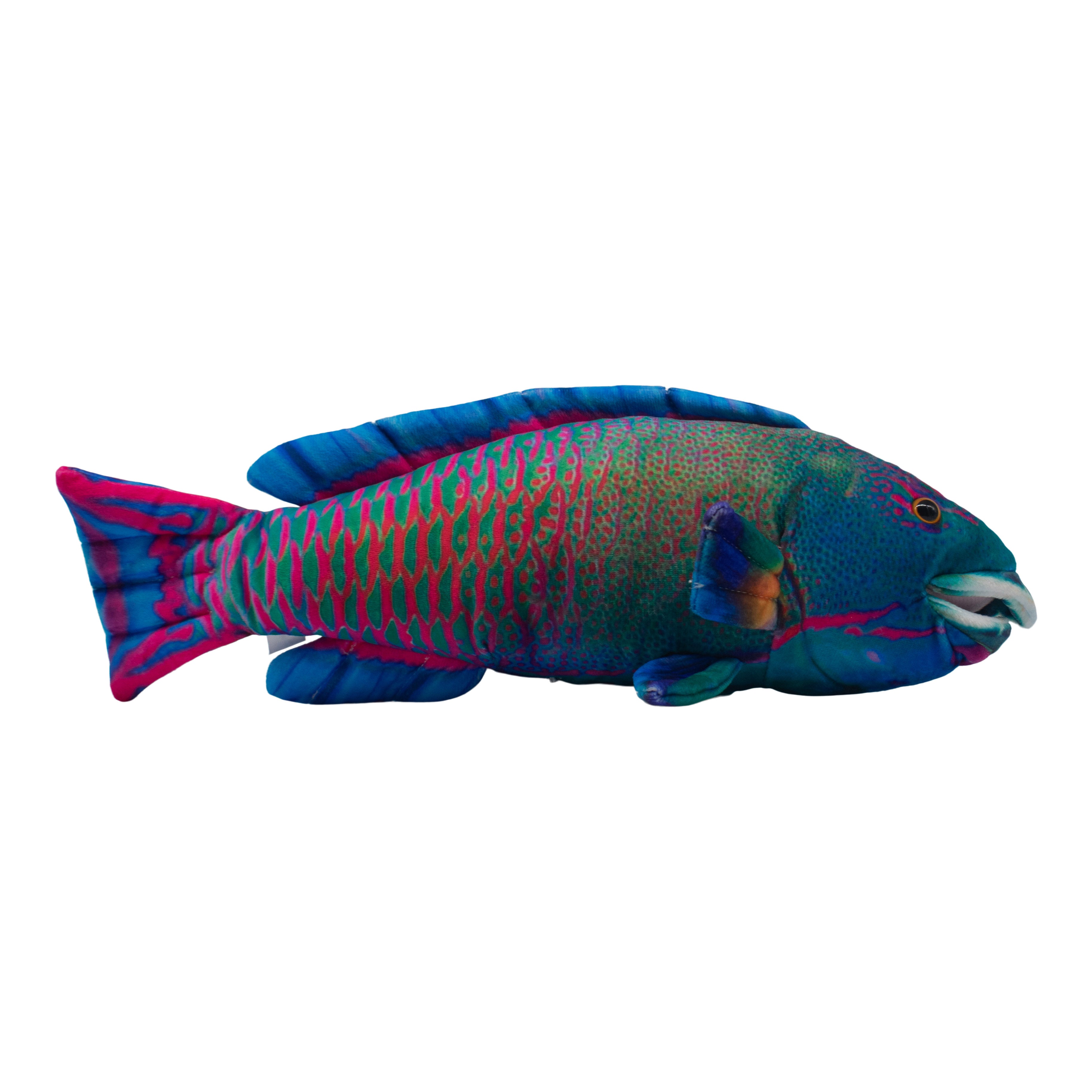 Polly Parrot Fish Soft Toy