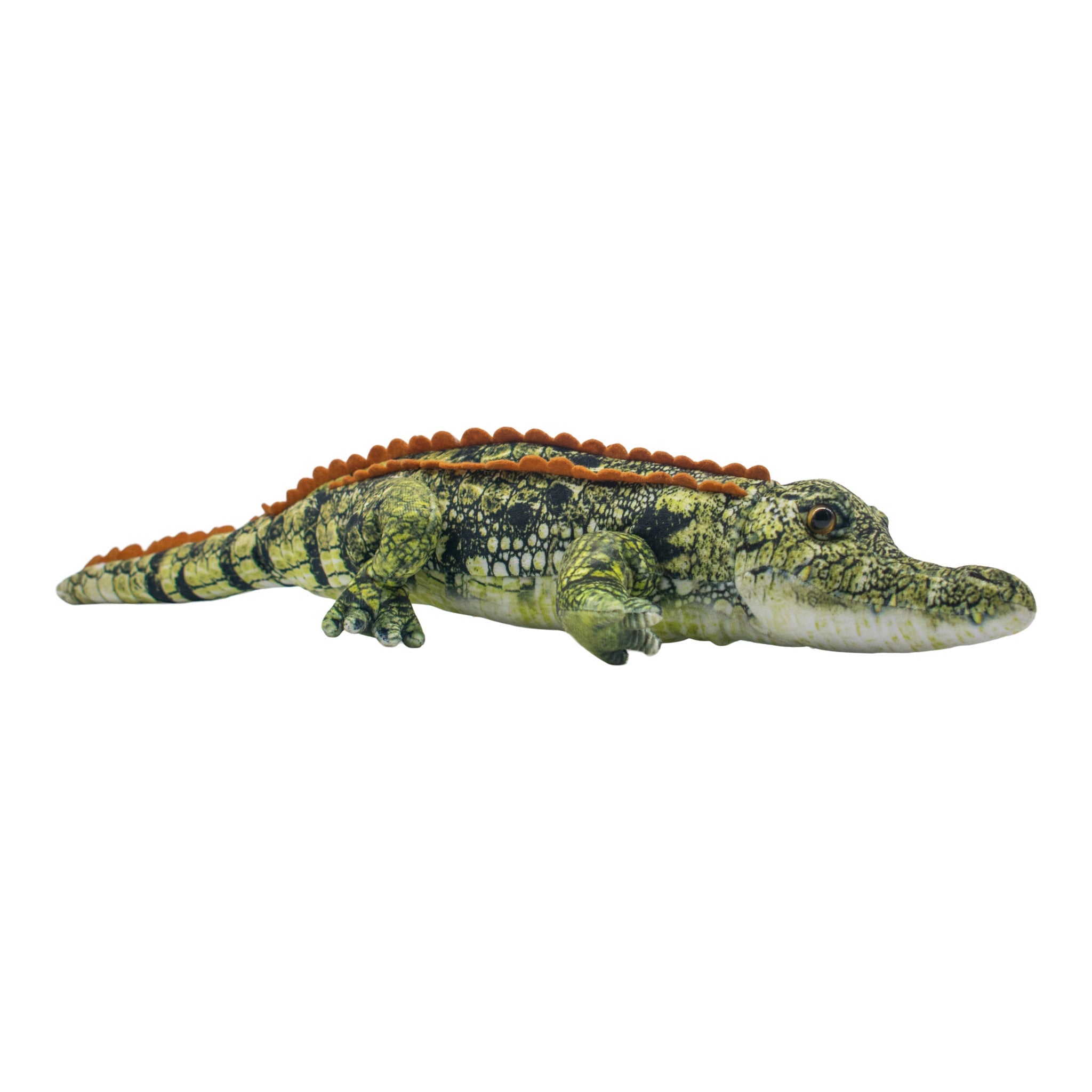 Cranky Crocodile Soft Toy (Small)