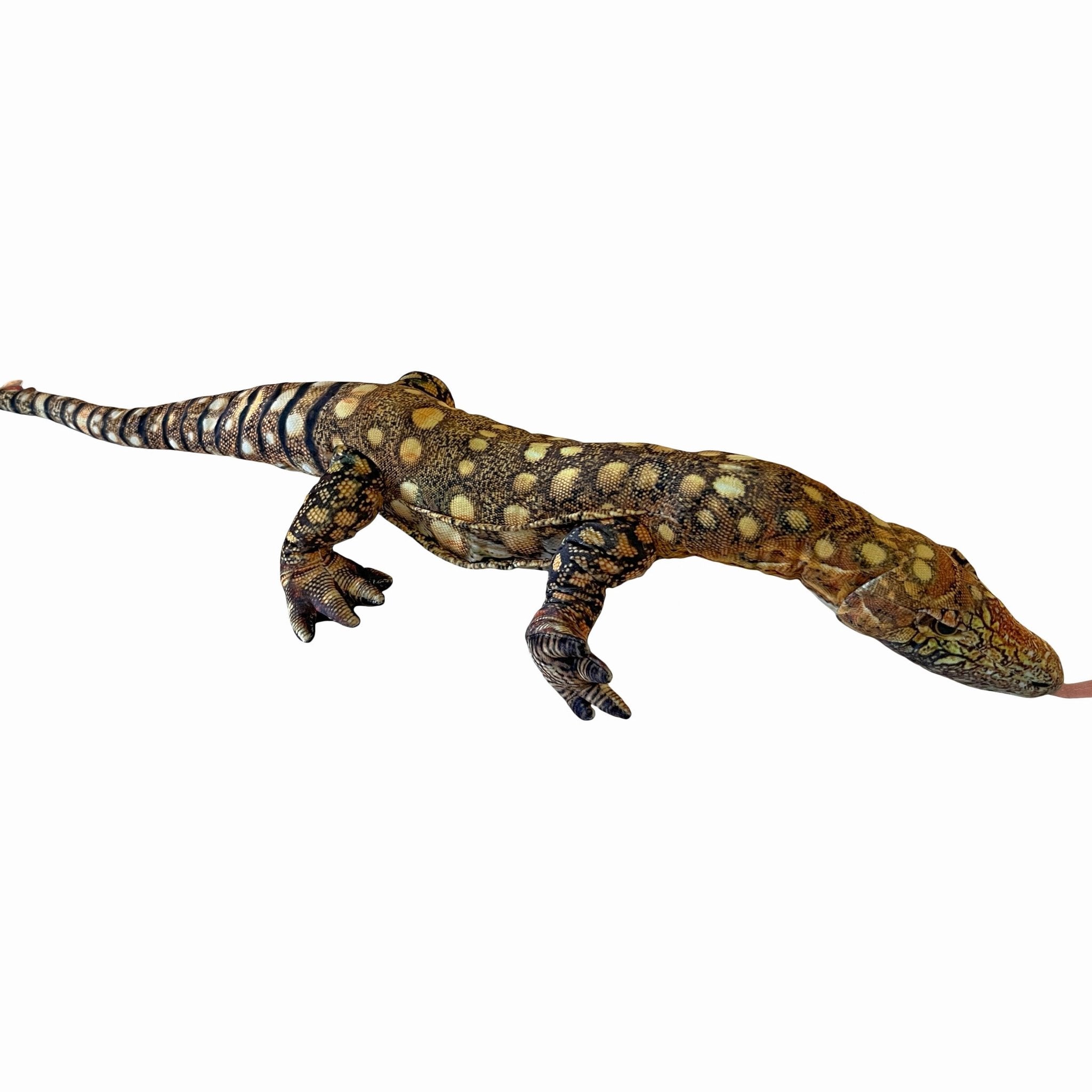 Greg the Goanna