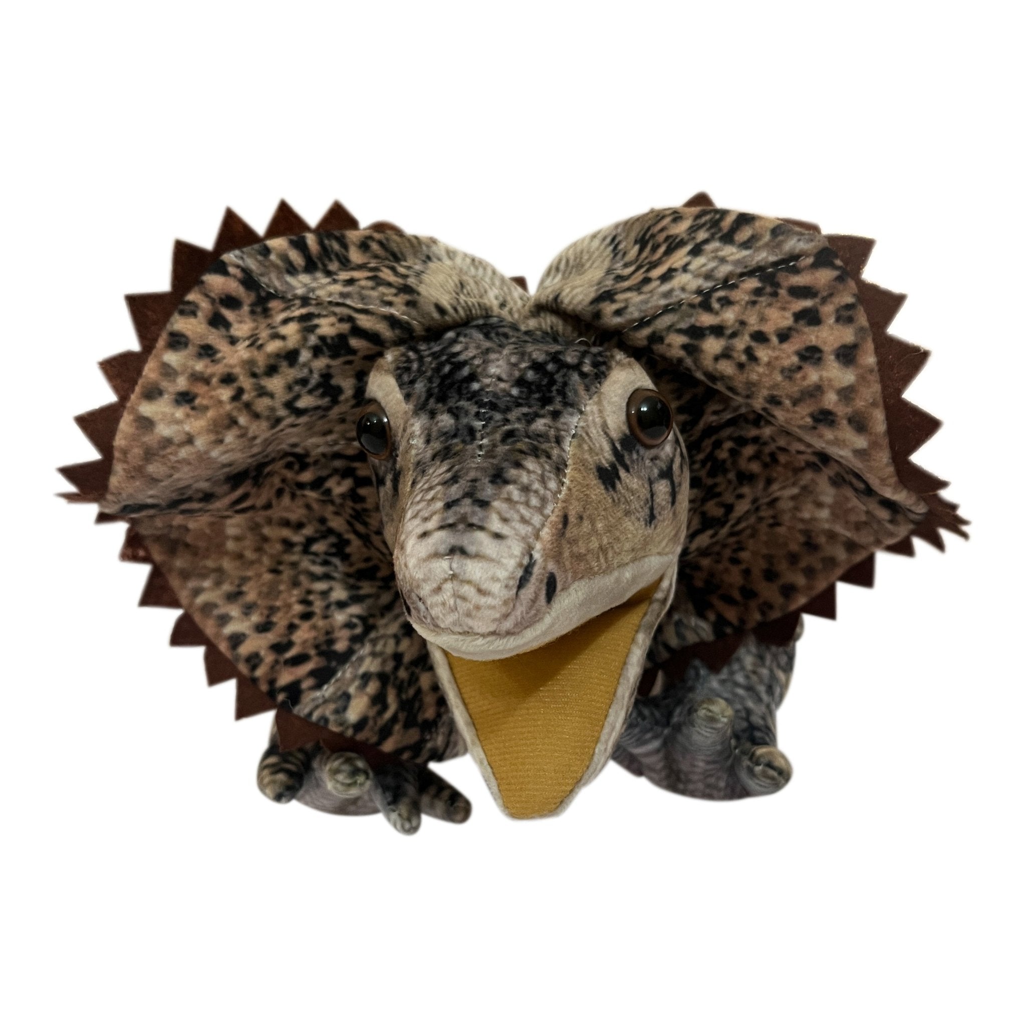 Norbert the Frilled Necked Lizard