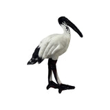 Opal The Ibis Soft Plush Toy