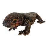 Realistic Bobbie Bobtail plush toy, brown and black speckled Australian lizard with a distinctive triangle head.