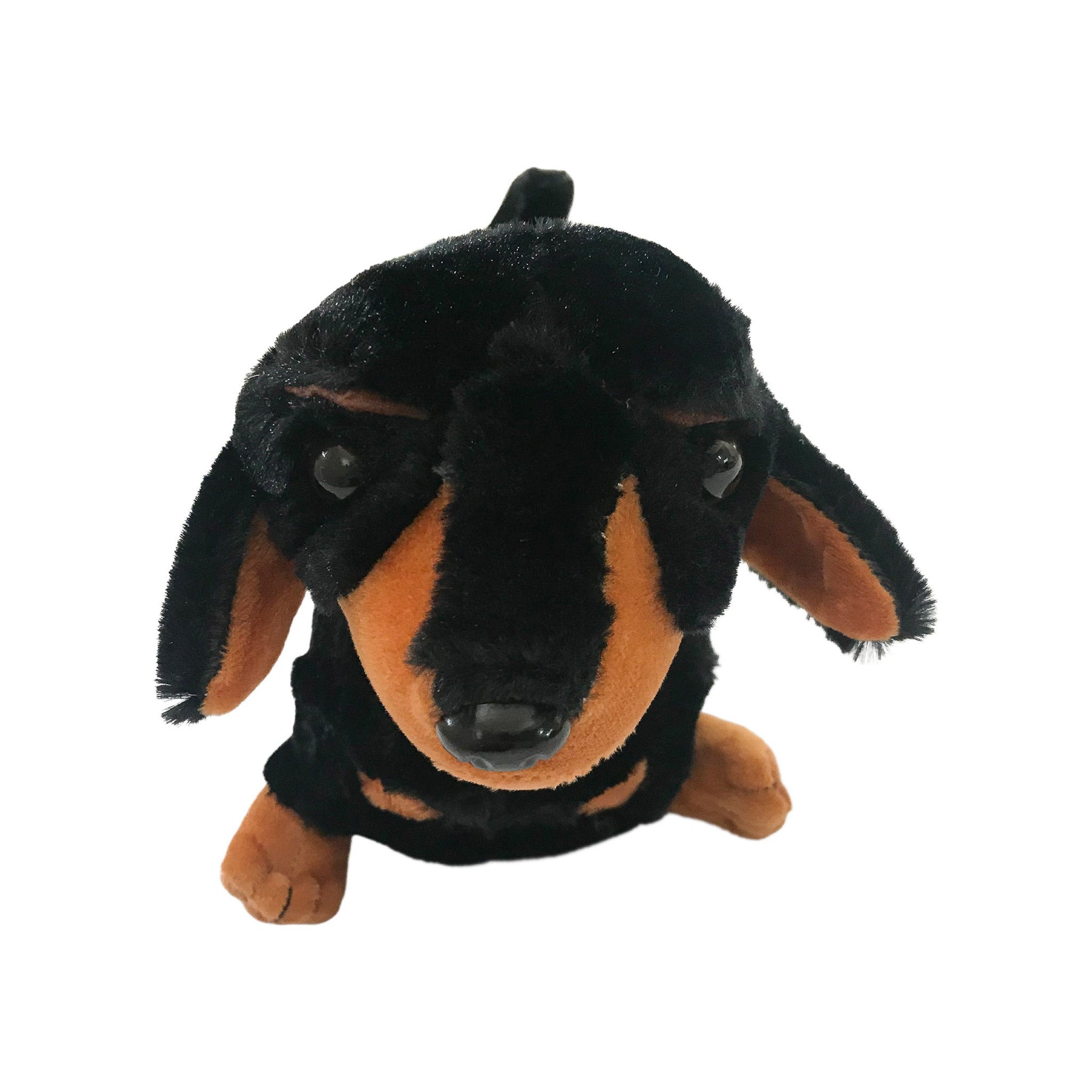 Plush toy dachshund on a white background