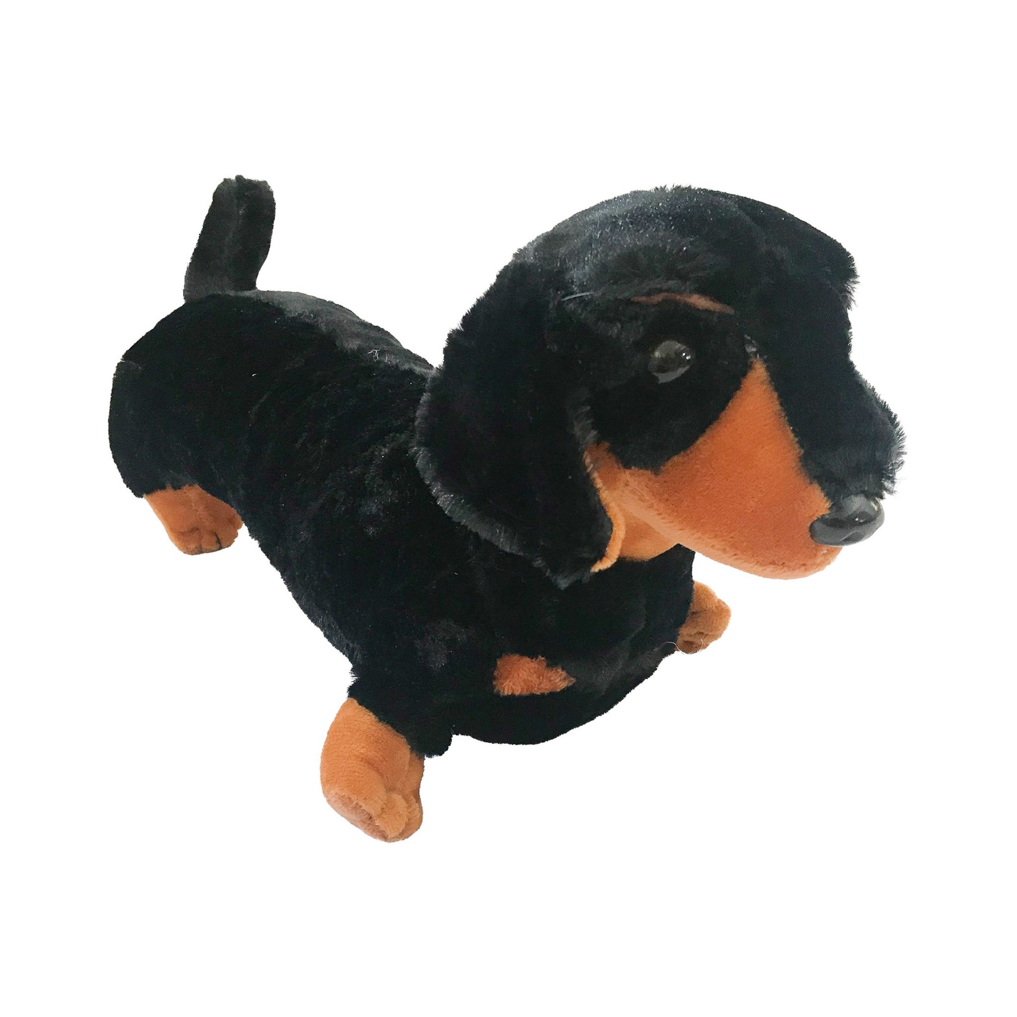 Plush toy dachshund on a white background