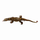  Greg the Goanna Soft Plush Toy 