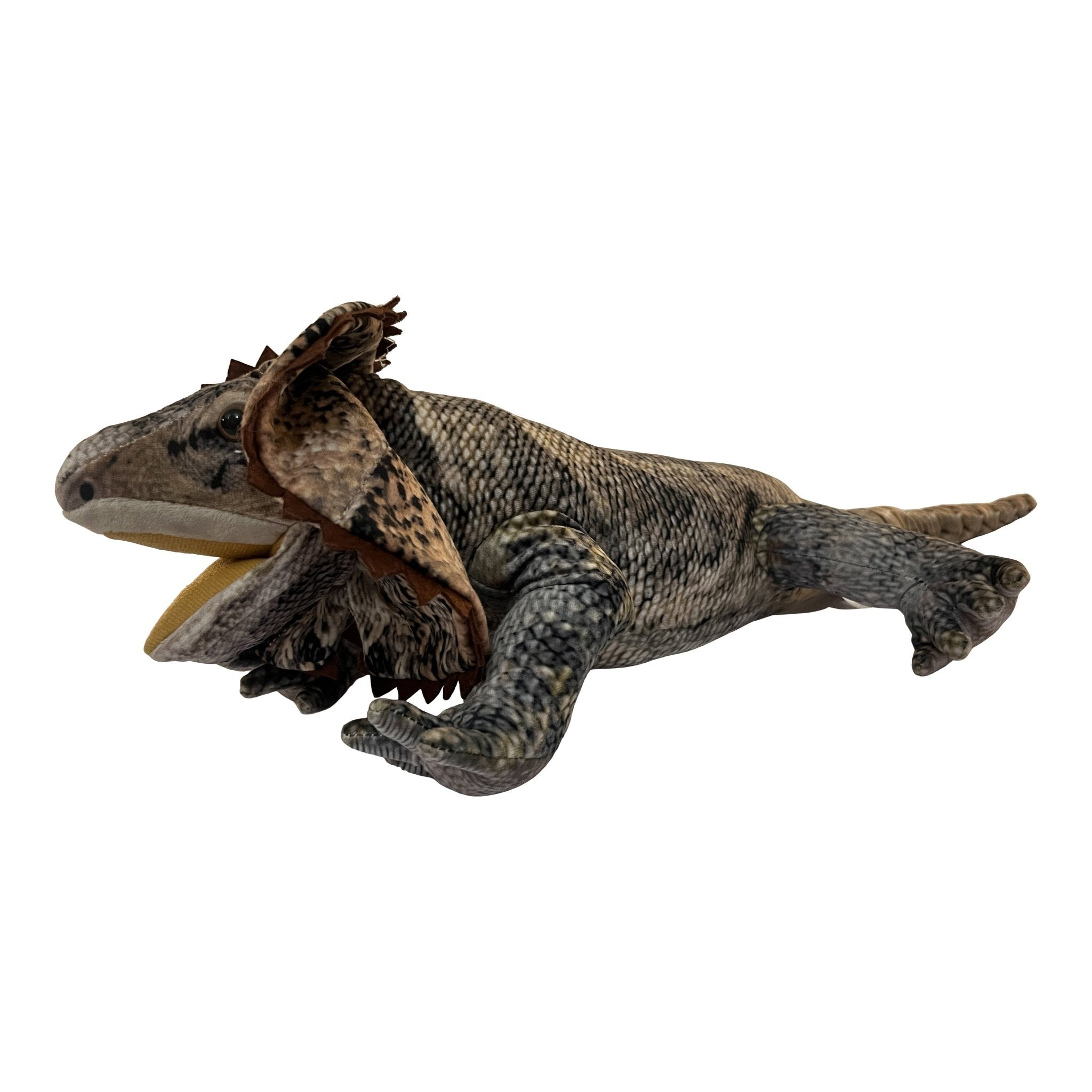 Norbert the Frilled Neck Lizard Soft Plush Toy