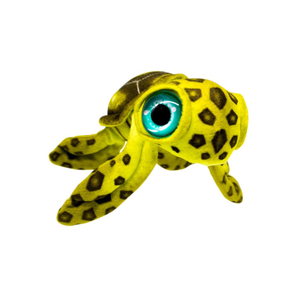 Olive & Chocolate Turtle Soft Plush Toy