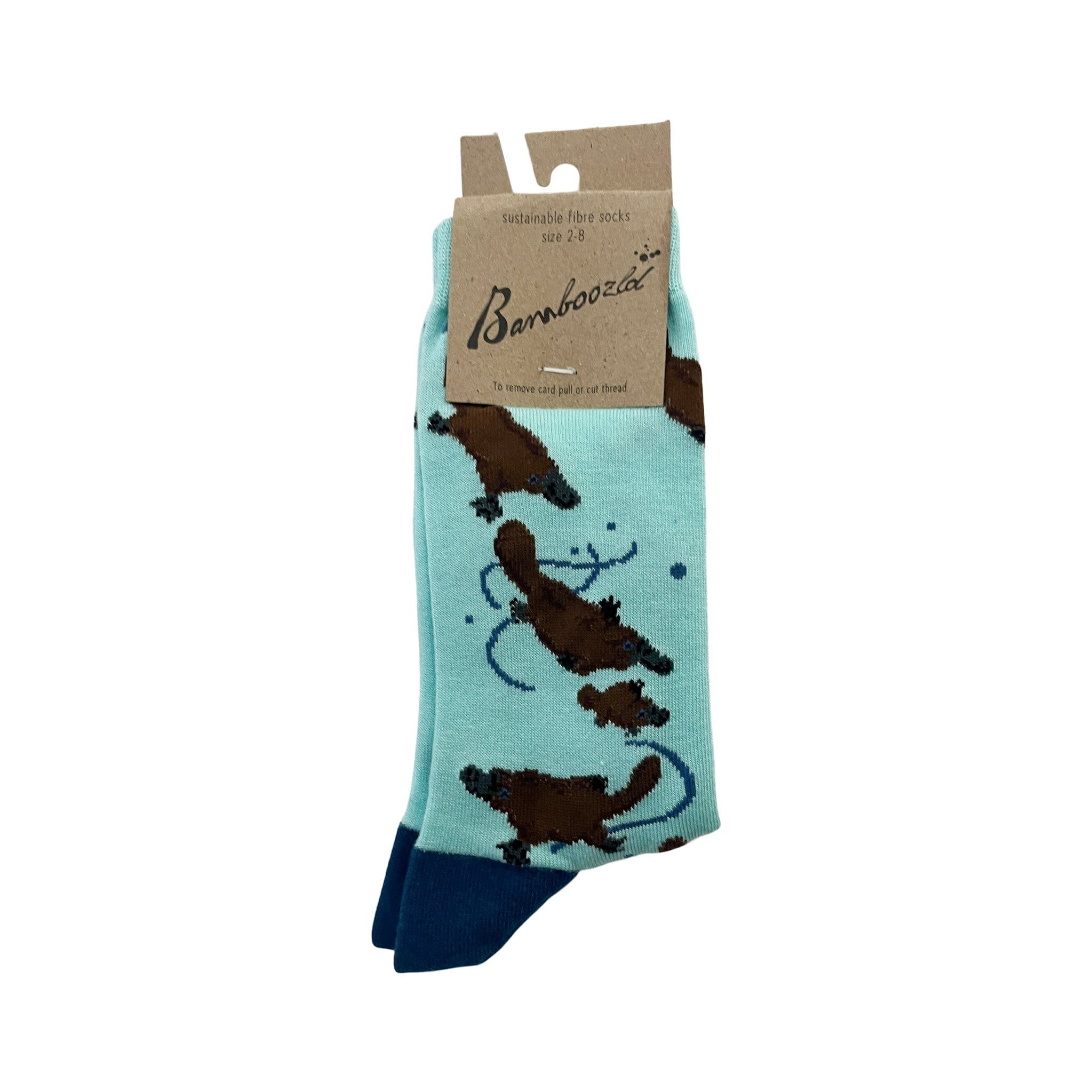 Cute Platypus & Puggle Bamboo Socks – Soft Aqua & Navy Trim