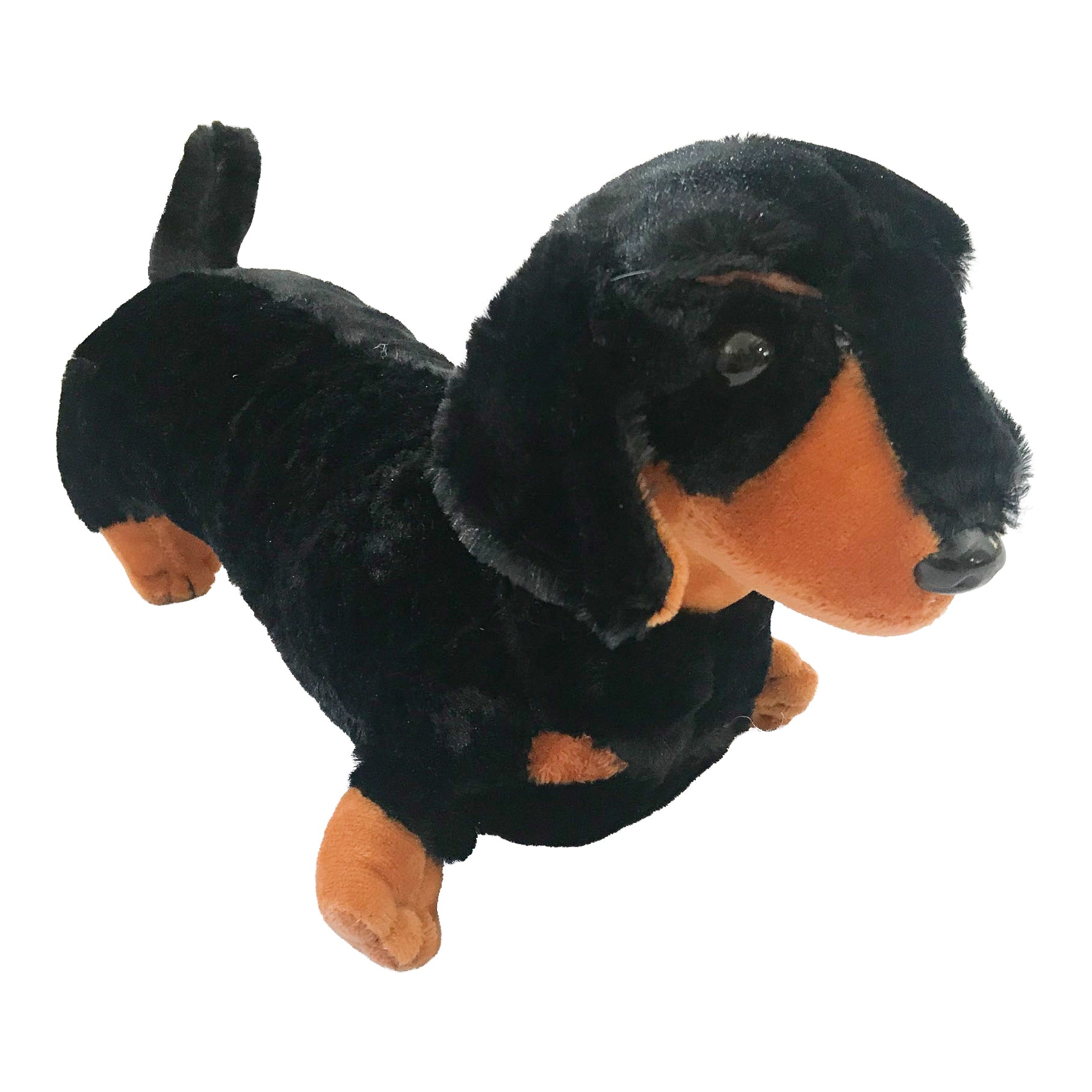 Davie the Dachshund Soft Toy