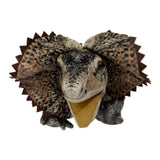 Norbert the Frilled Necked Lizard