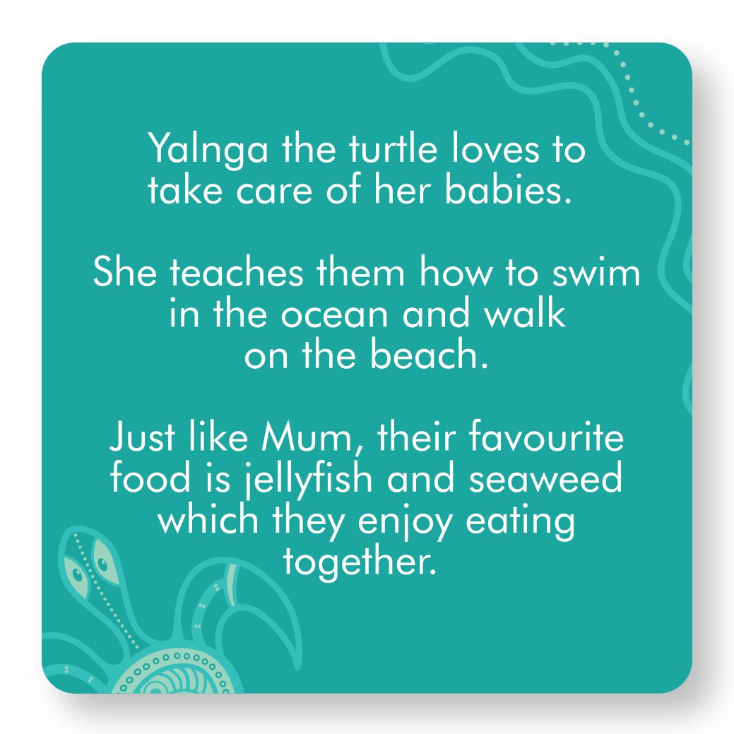 Turtle With Green Trim Aboriginal Design Bib