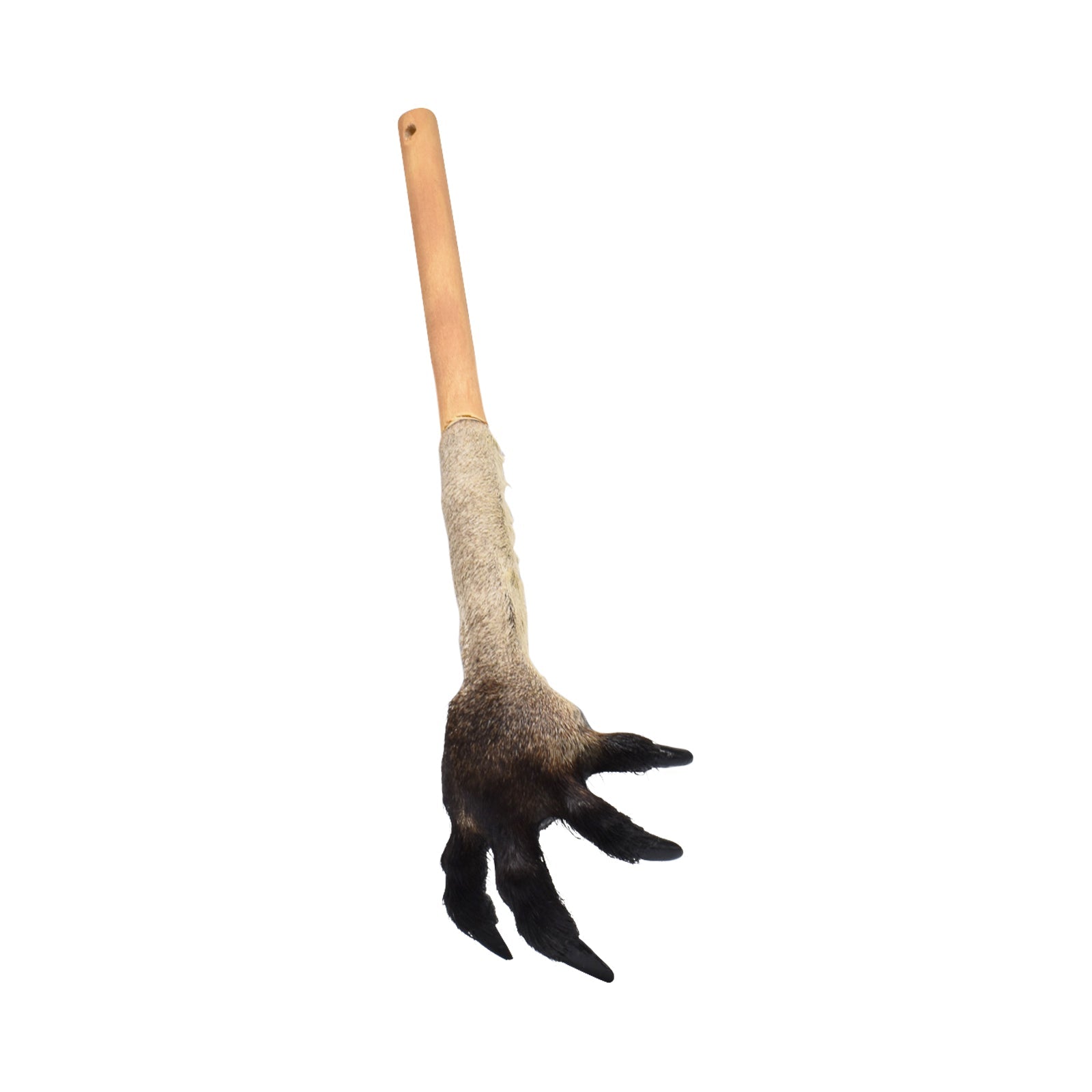 Kangaroo Paw Back Scratcher